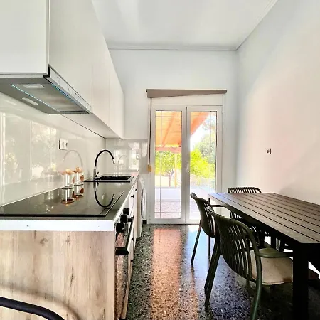 Spacious House With Large Backyard *